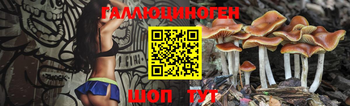 Рассказово  Галлюциногенные грибы Psilocybe  Вход с VPN 