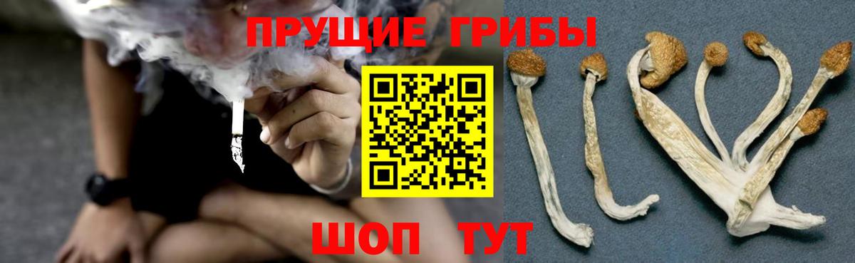 Галлюциногенные грибы мицелий Рассказово